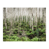 Forest After The Fire (Print Only) thumbnail