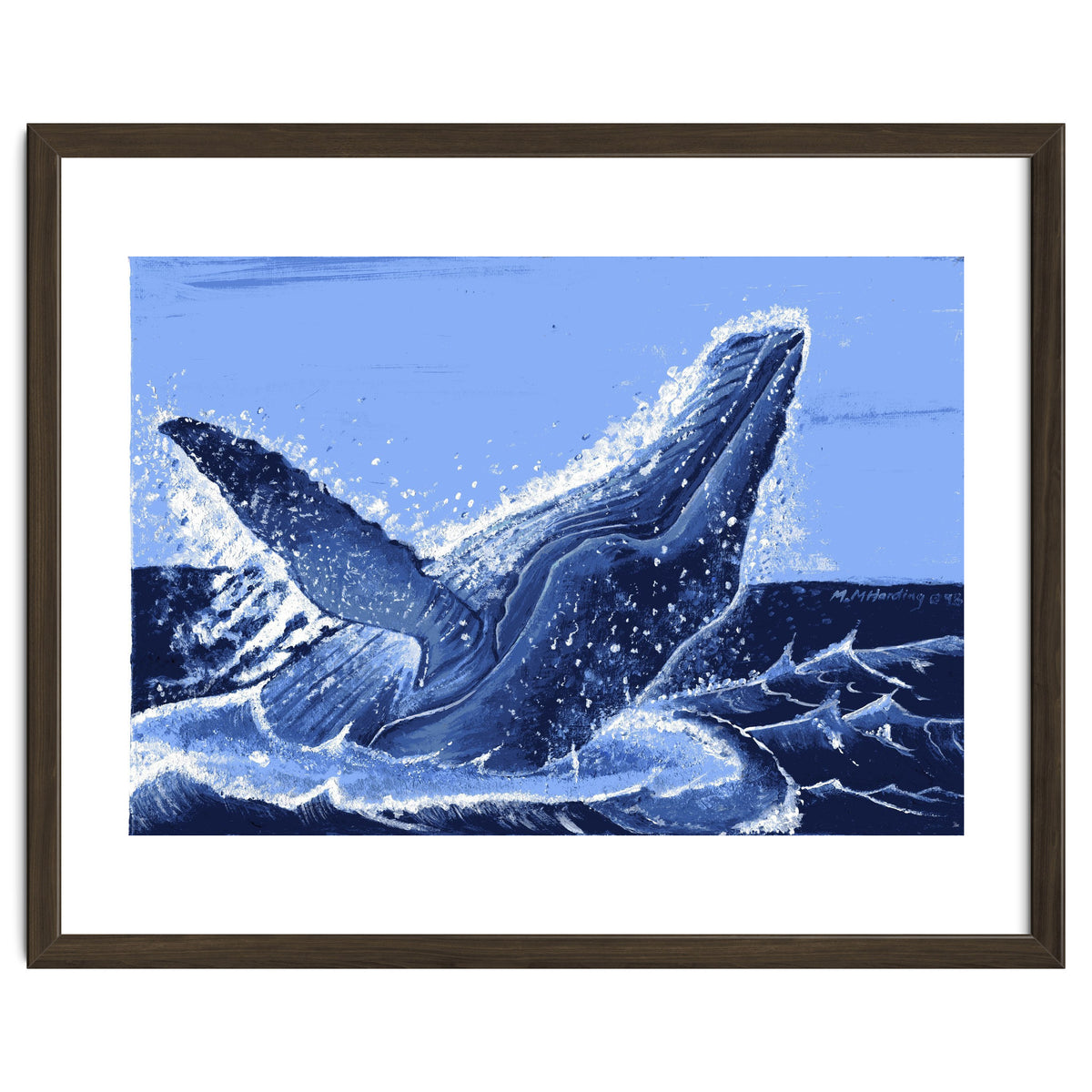 Humpback Whale Breaching