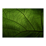 Macro (Print Only) thumbnail