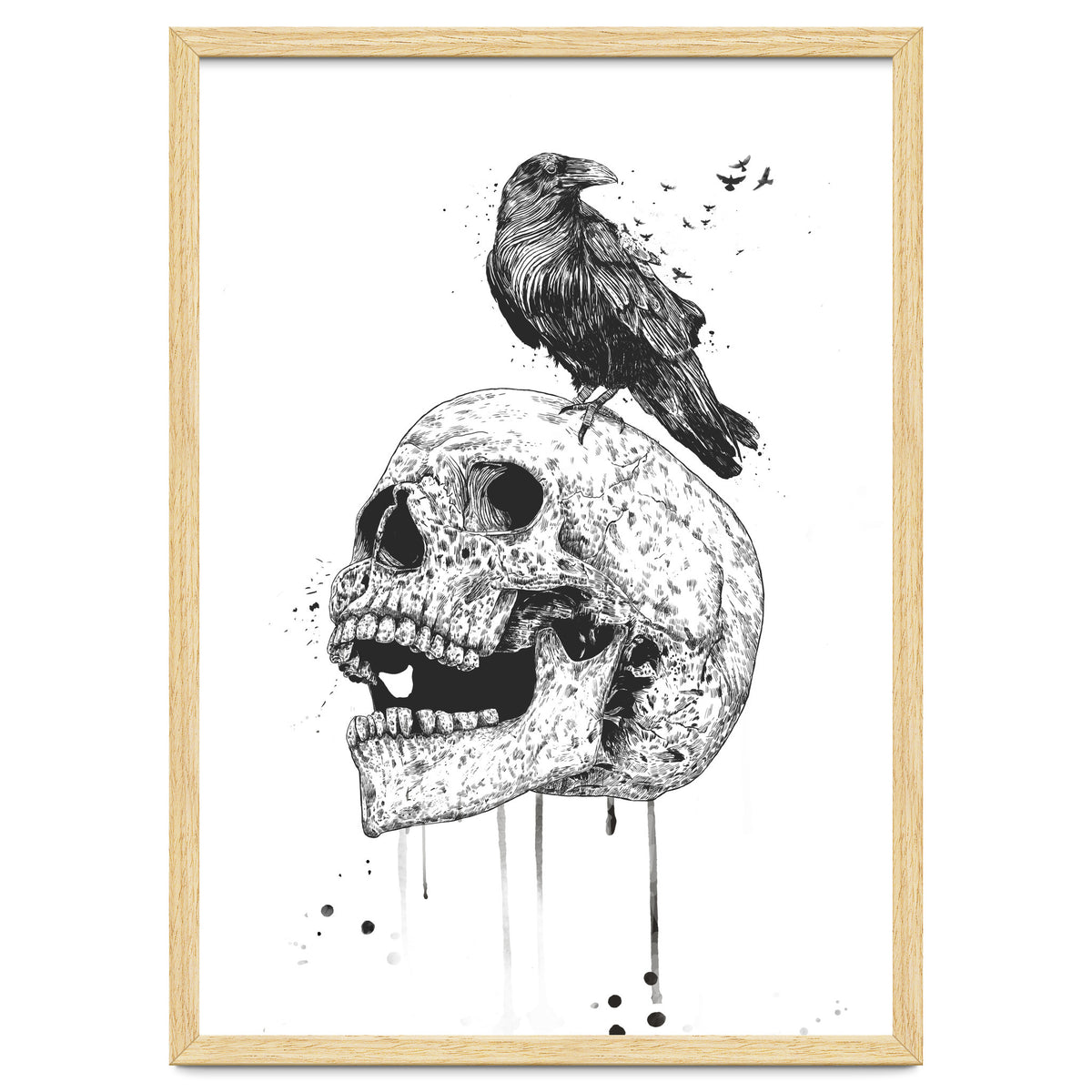 New Skull (bw)
