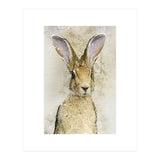 Harriet Hare (Print Only) thumbnail