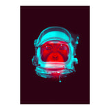 Astronaut (Print Only) thumbnail