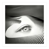 Untrue (Print Only) thumbnail