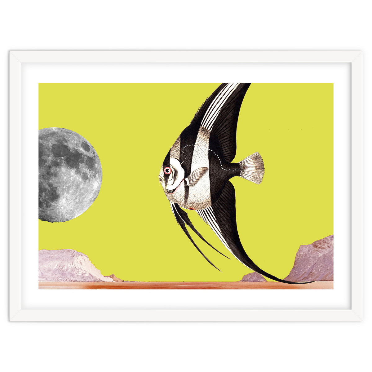 Plenty of fish in the sea yellow