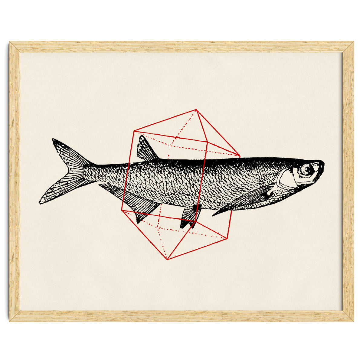 Fish In Geometrics II