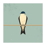 Swallow (Print Only) thumbnail