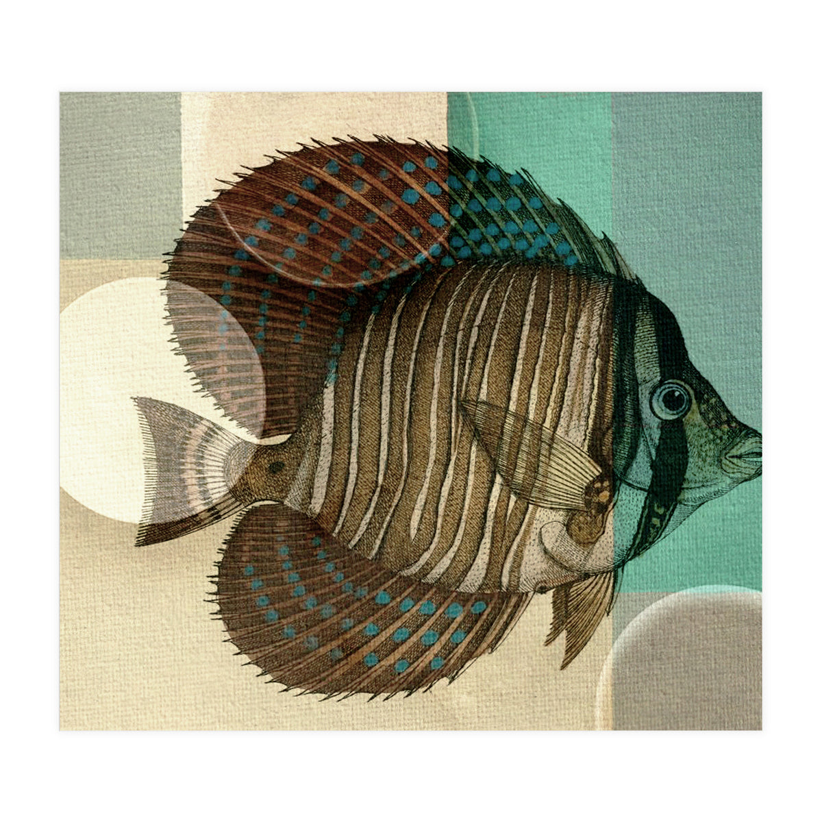 Fish Between Circles 4 (Print Only)