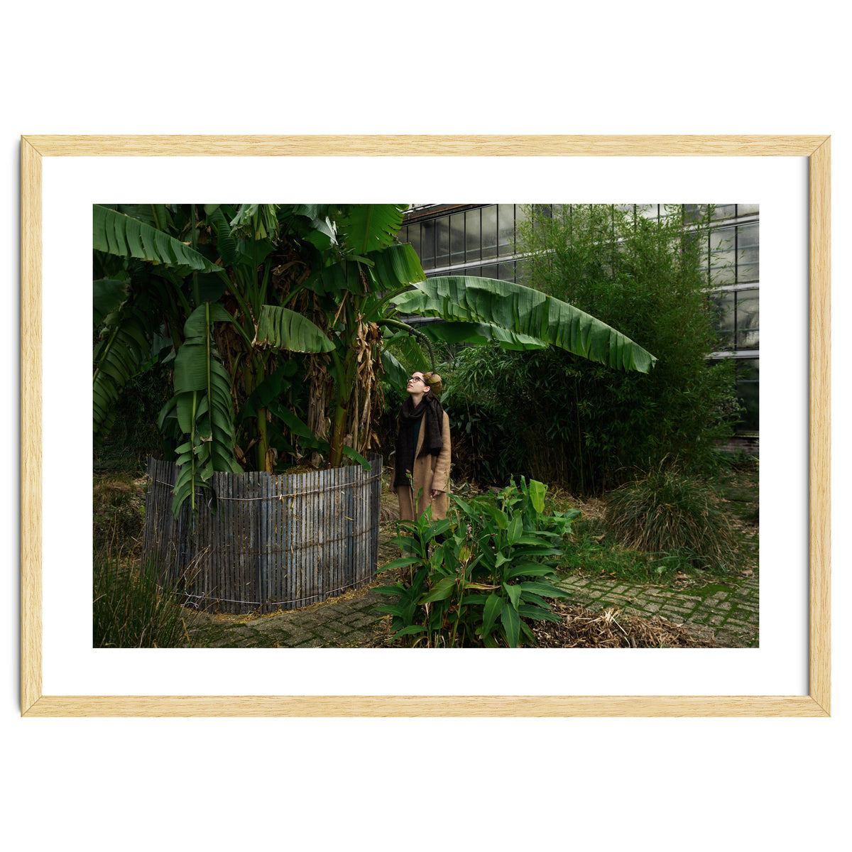 Transition from Summer to Winter