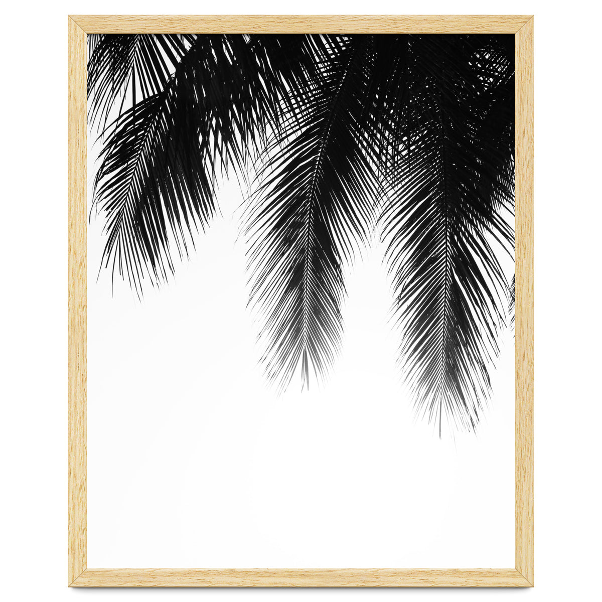 Palm leaves