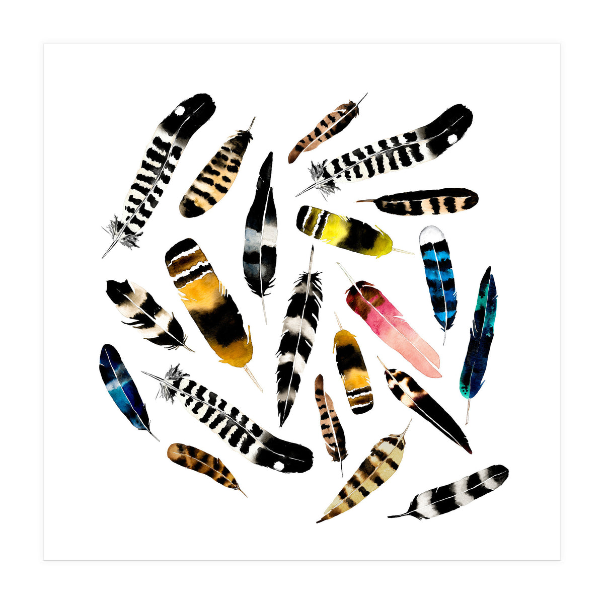 Feather Fusion  (Print Only)