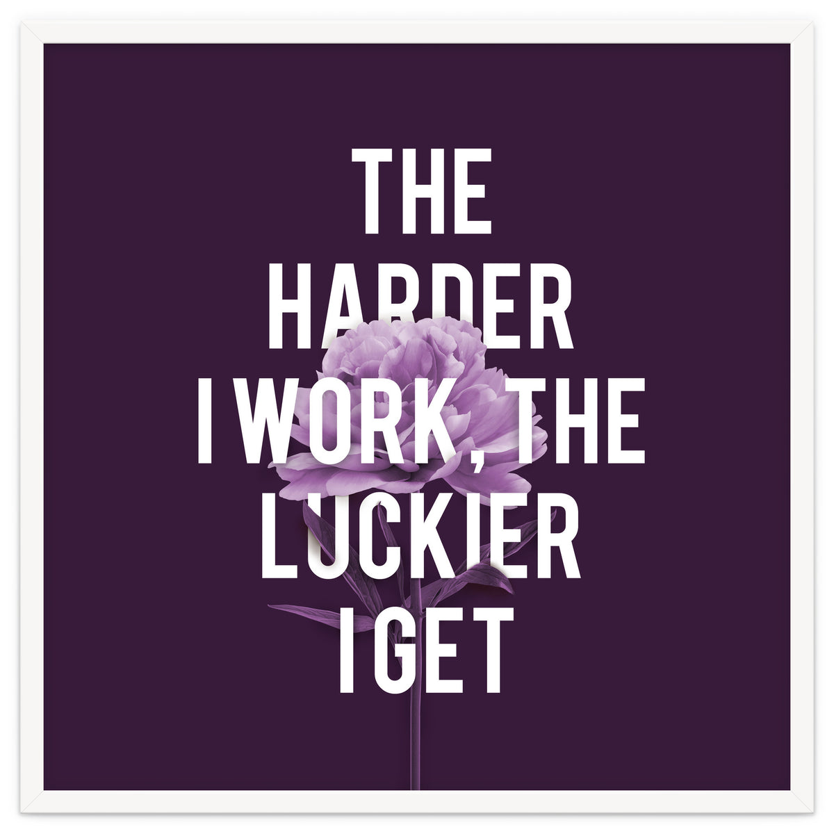 Work Hard Be Lucky