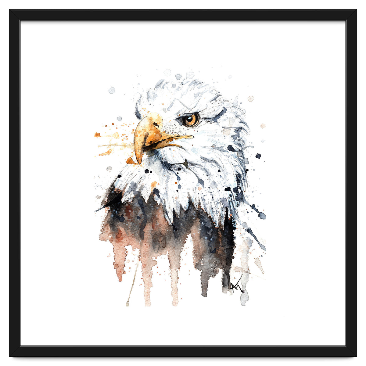 Bald Eagle - Wildlife Collection