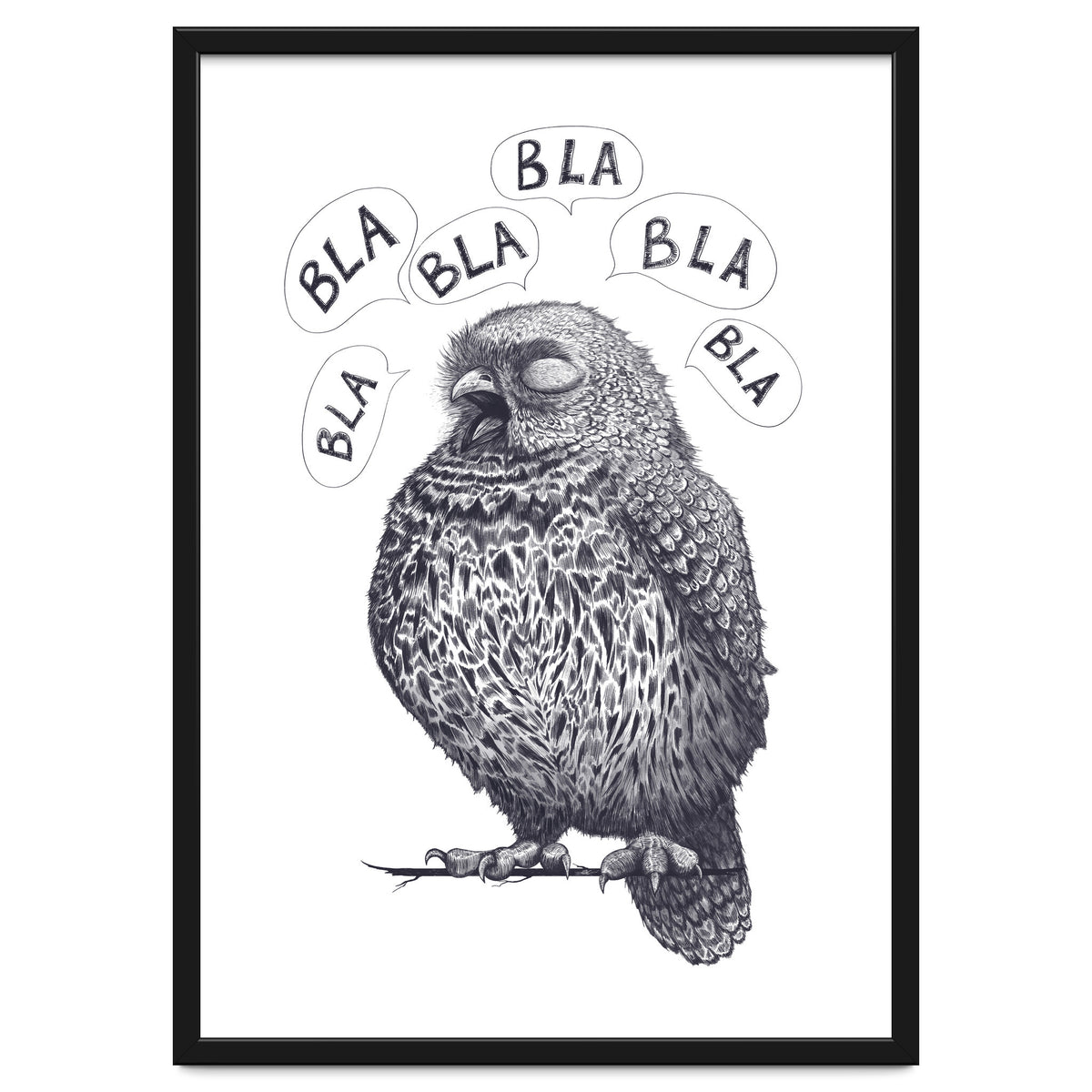 Owl Bla Bla Bla