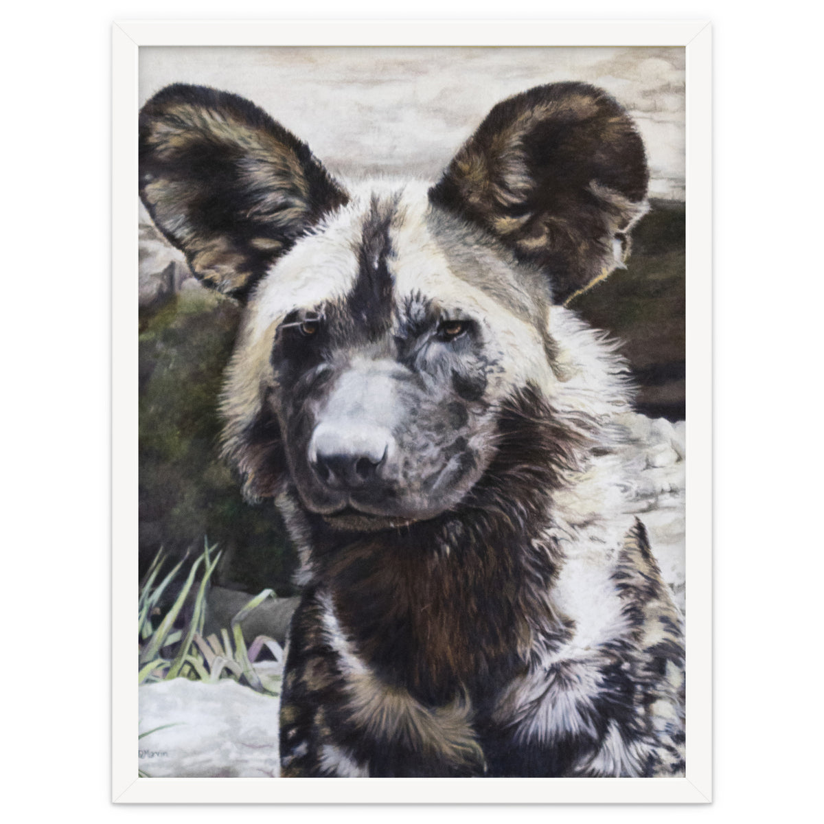 African Painted Dog II