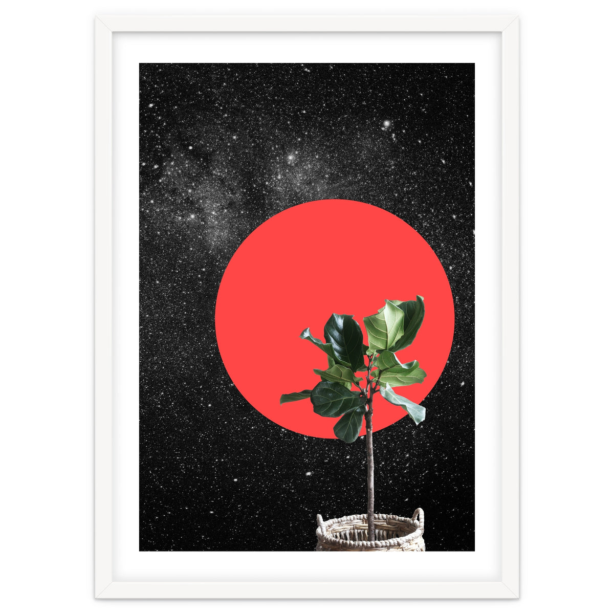 "Bonsai" - Digital Collage