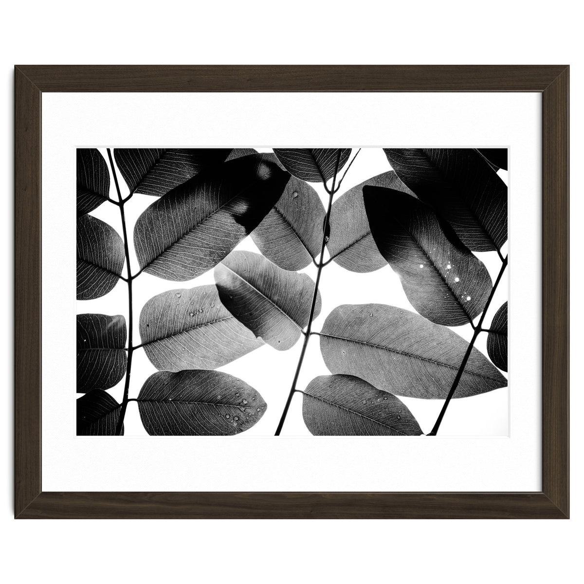 Experiments with Leaves II