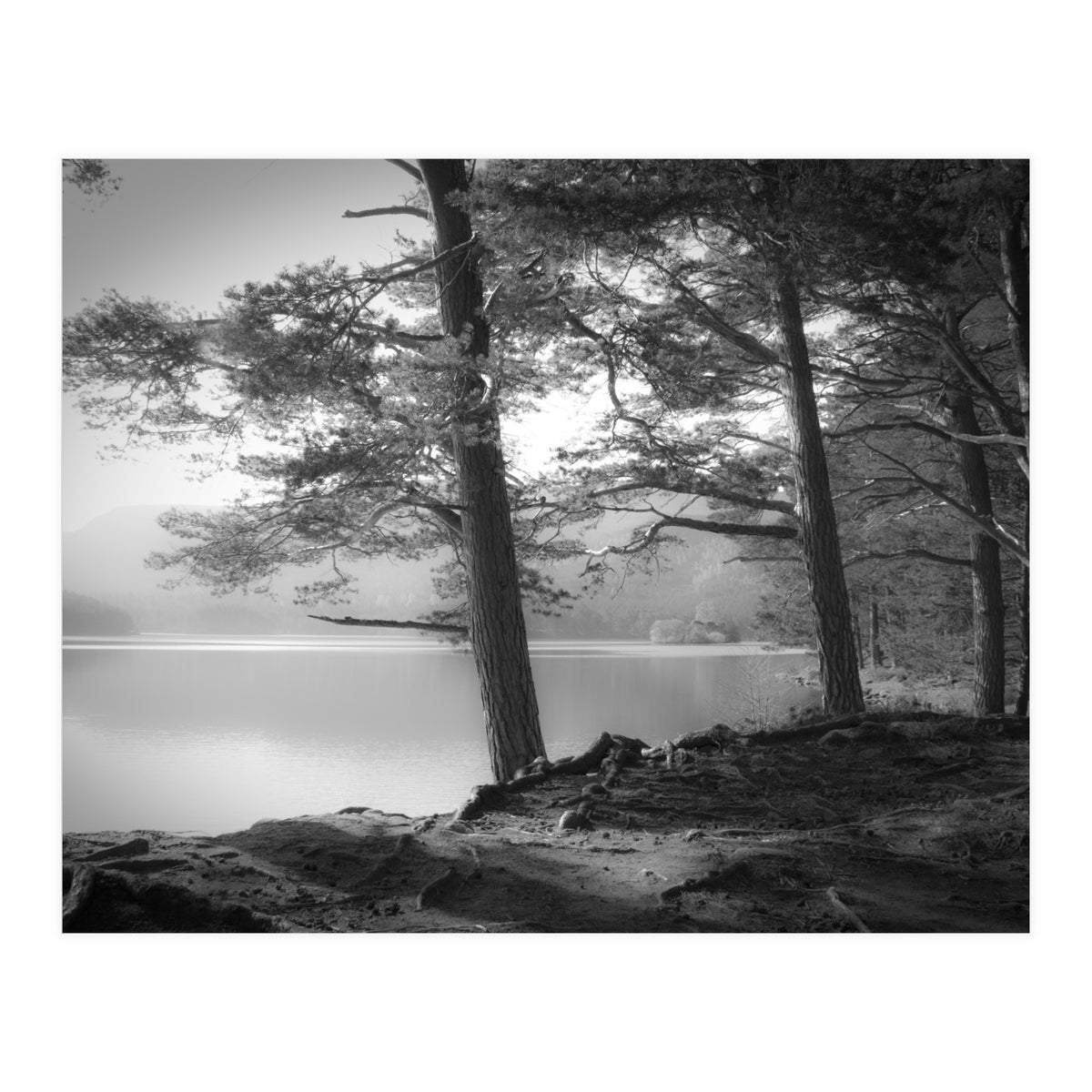 Loch an Eilein (Print Only)