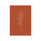 Line Art Botanical Terracotta (Print Only) thumbnail