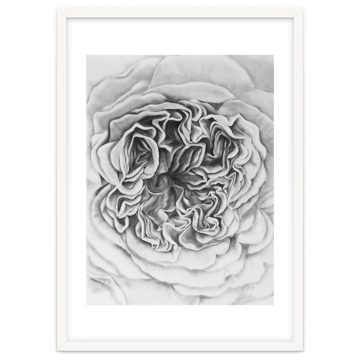 A Rose in Monochrome
