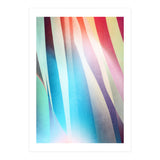 Carnival 1 (Print Only) thumbnail