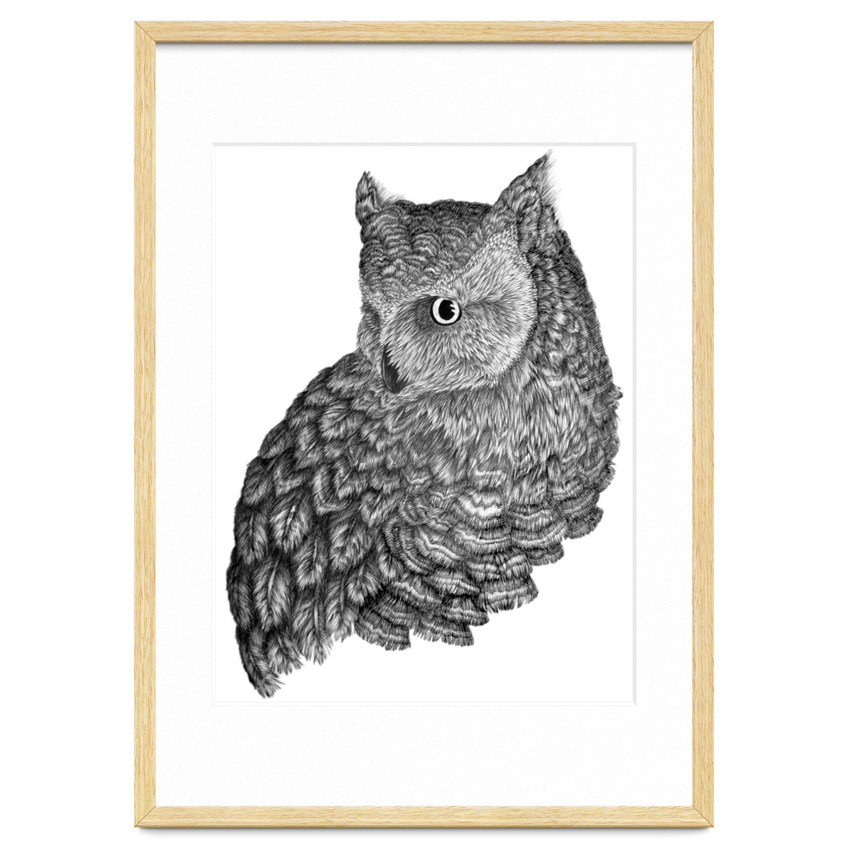 A Friend For Forsythe