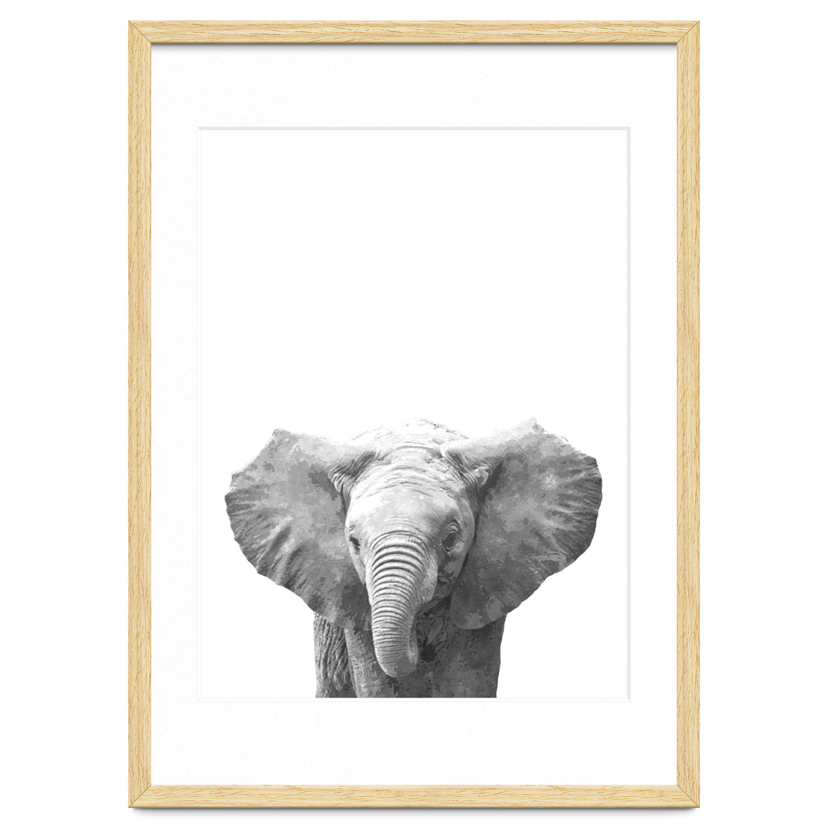 Black and White Baby Elephant