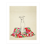 The Whippet (Print Only) thumbnail