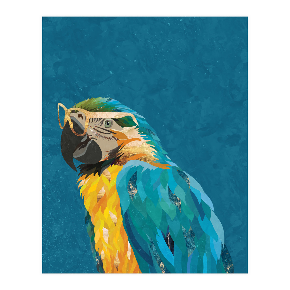 Macaw Portrait Blue Gold Glasses (Print Only)