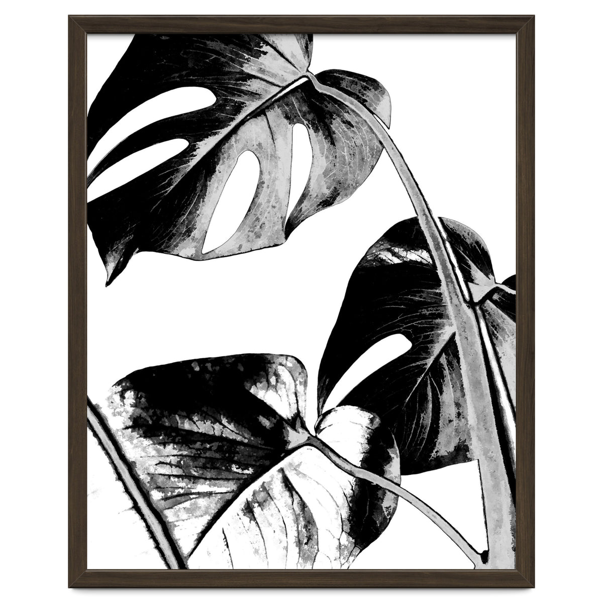 Black Tropical Leaves