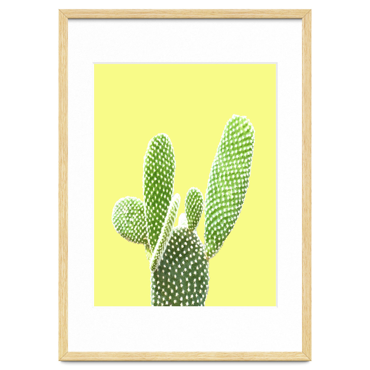 Cactus Yellow Background