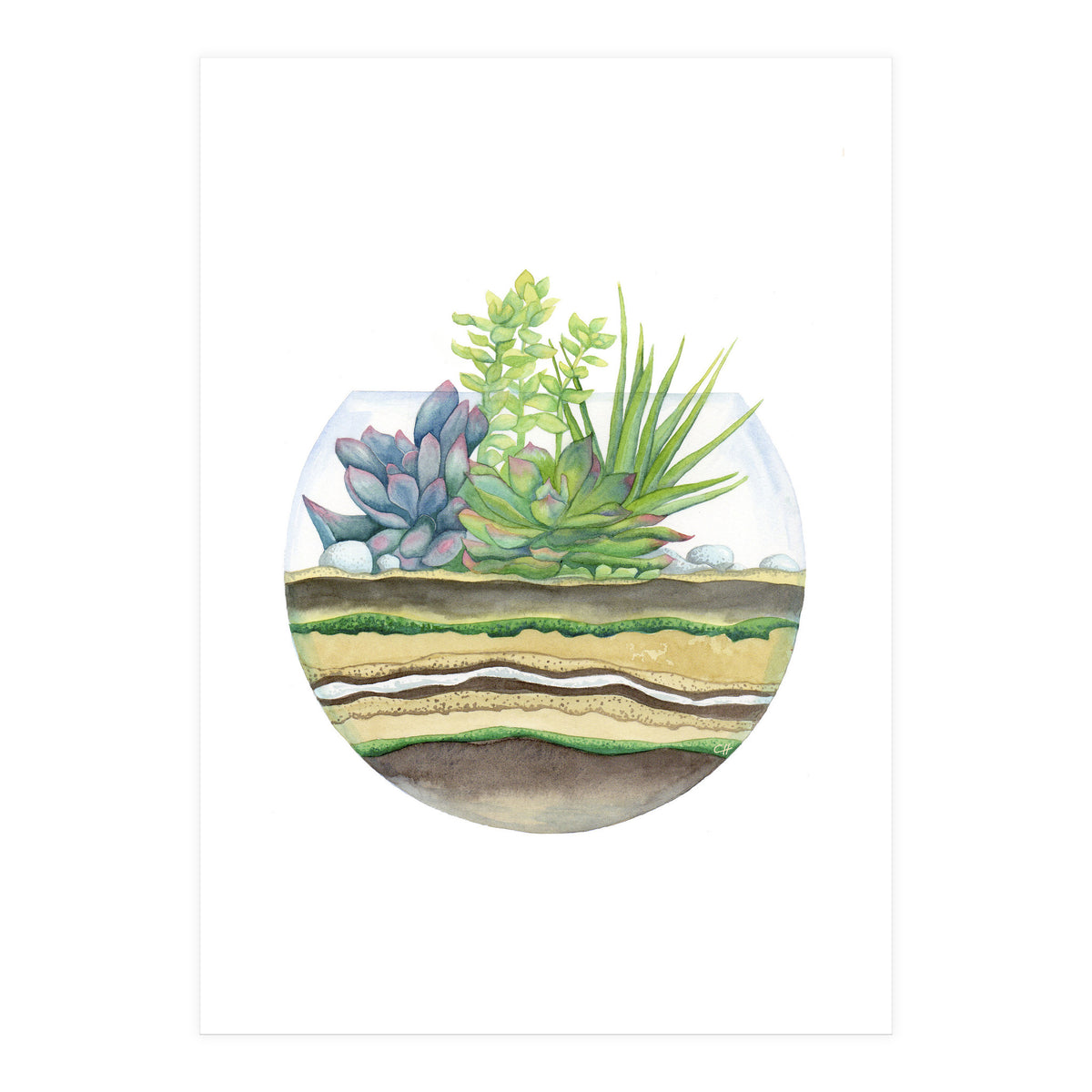A Little Green Terrarium (Print Only)