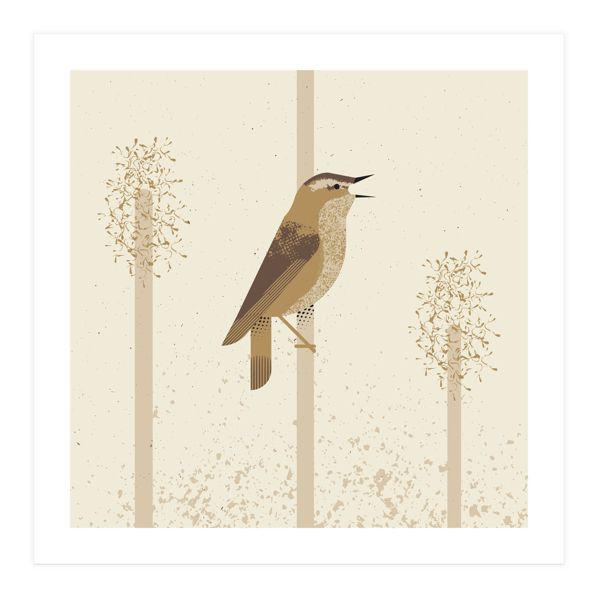 Sedge Warbler (Print Only)