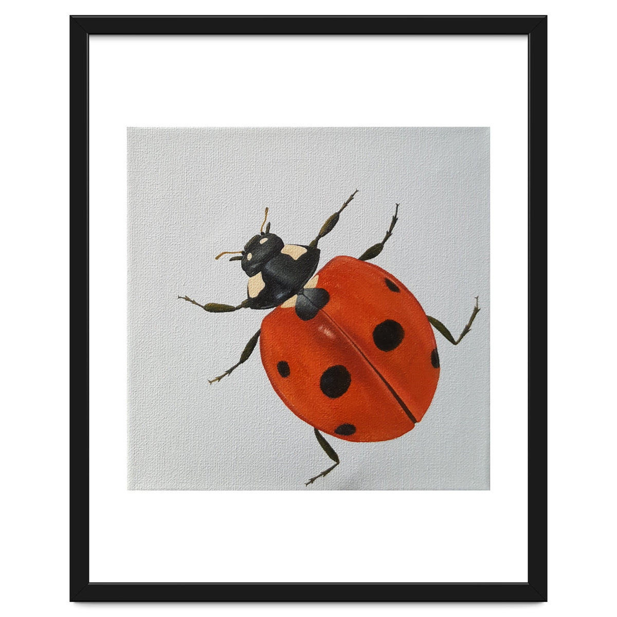 Ladybird