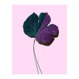 foglia (Print Only) thumbnail
