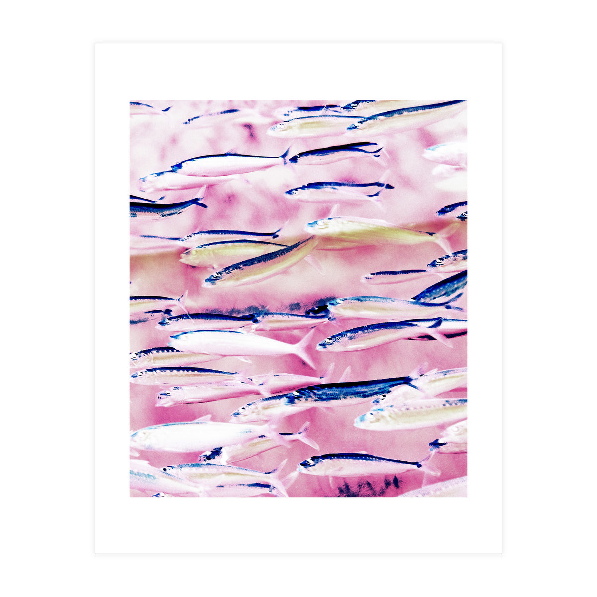 Marked Coast (Print Only)