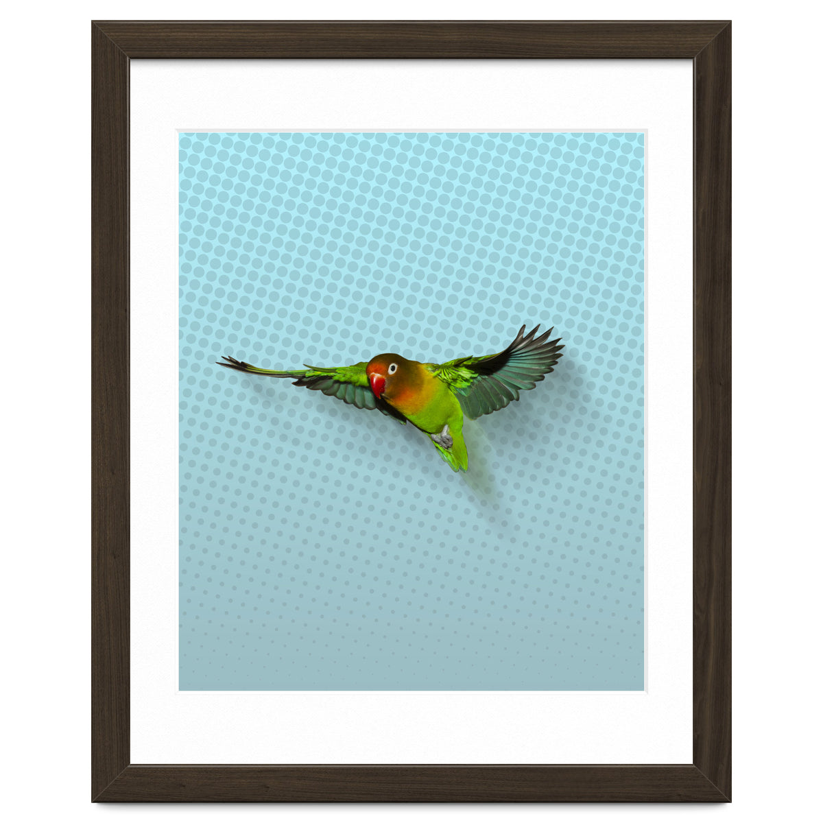 Flying lovebird