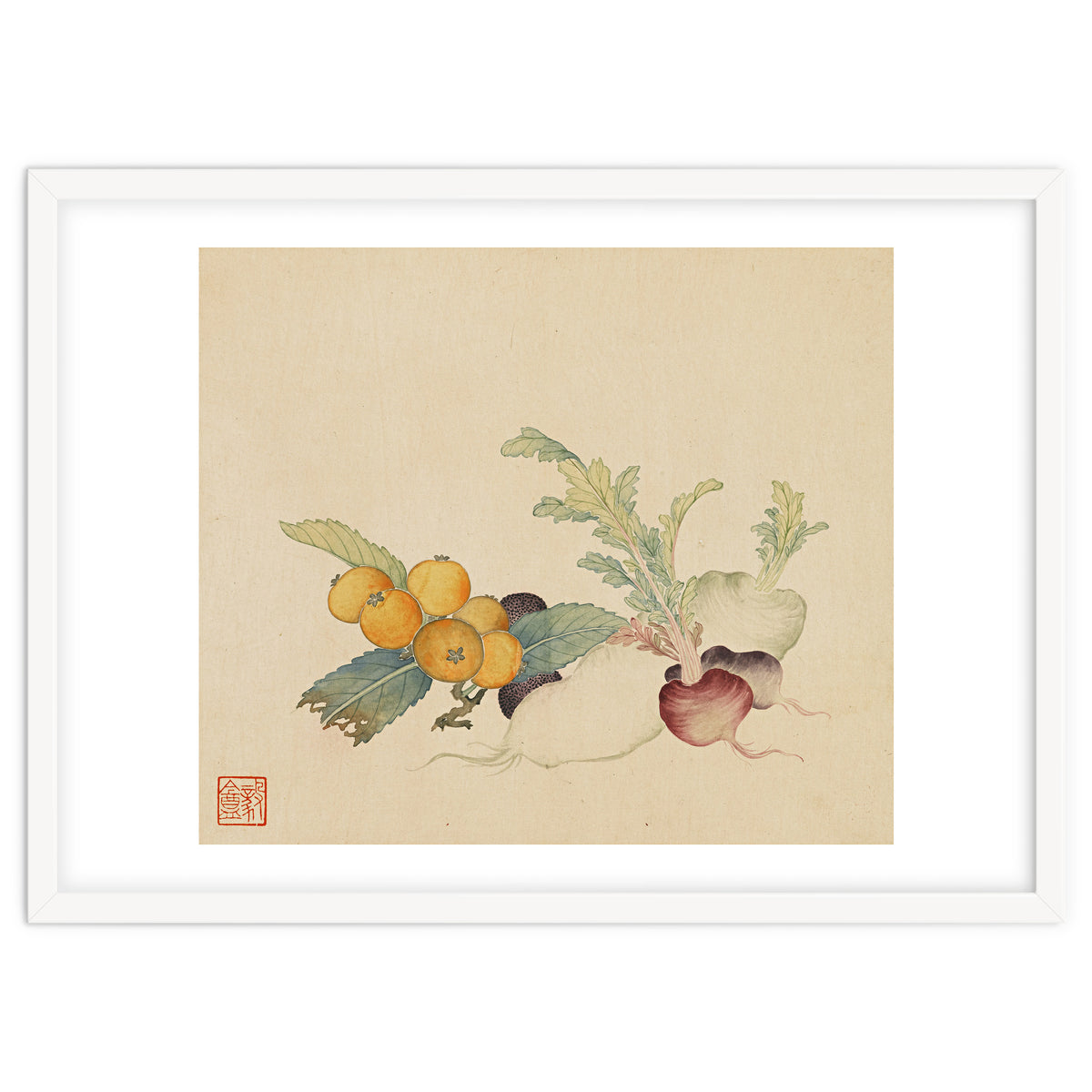 Wang Chengpi~flowers And Vegetables, Vegetables, Fruits, Loquat, White Radish, Carrot, Radish