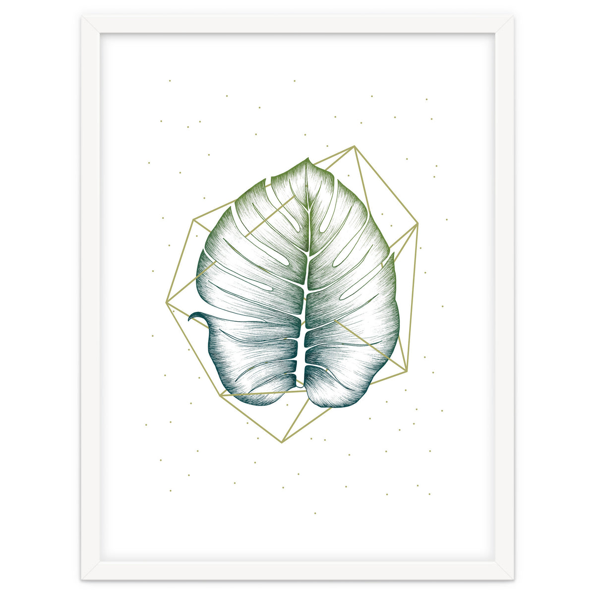 Geometry And Nature II