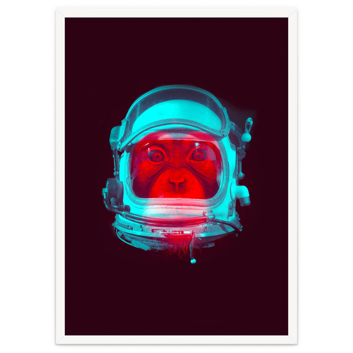 Astronaut