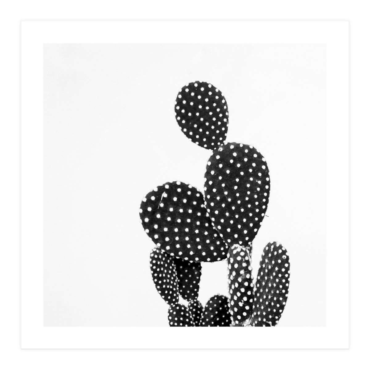 Cactus nature (Print Only)