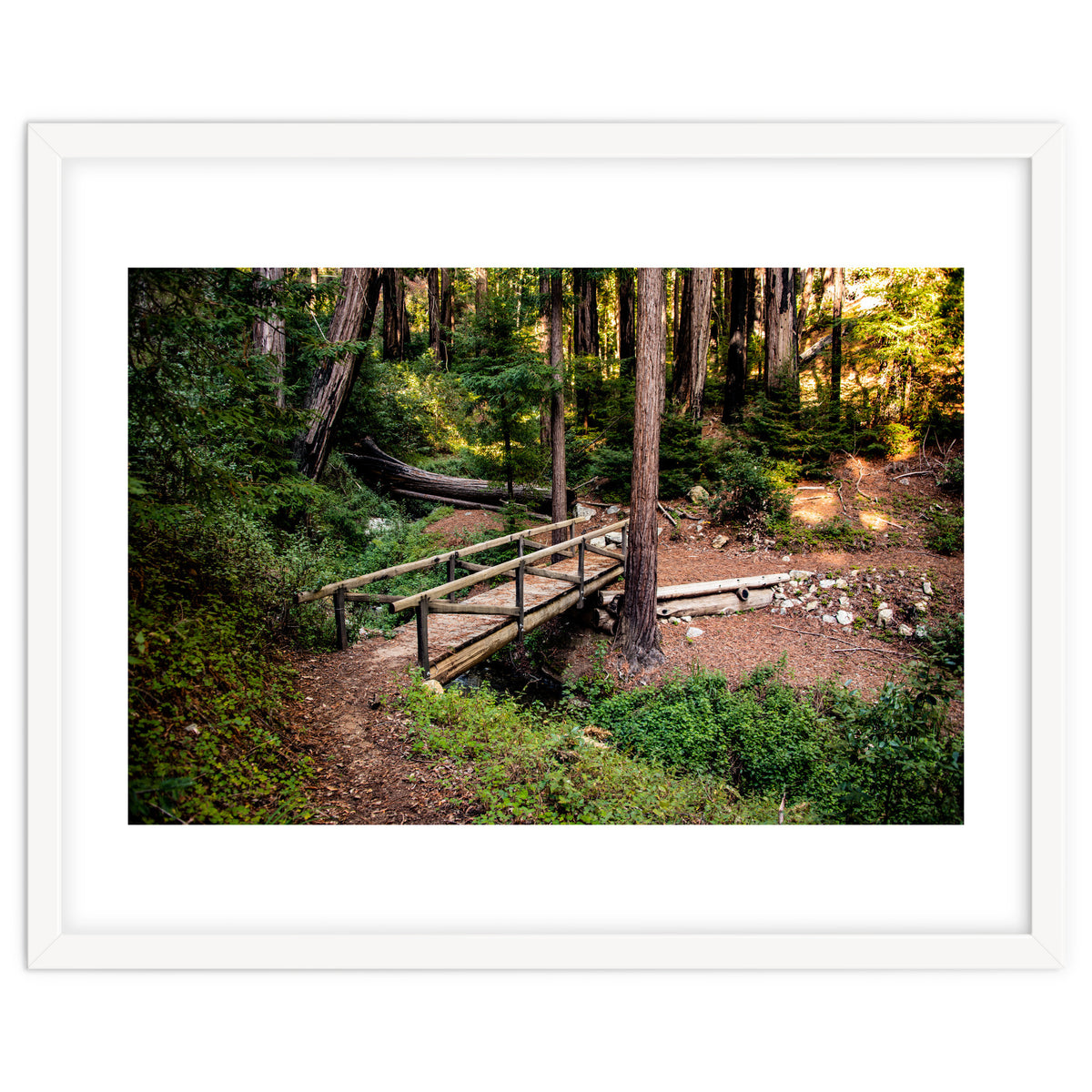 Ewoldsen Loop Bridge