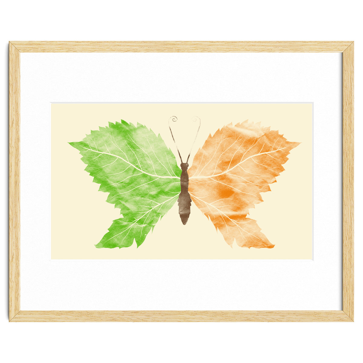 Seasons Change Time Flies