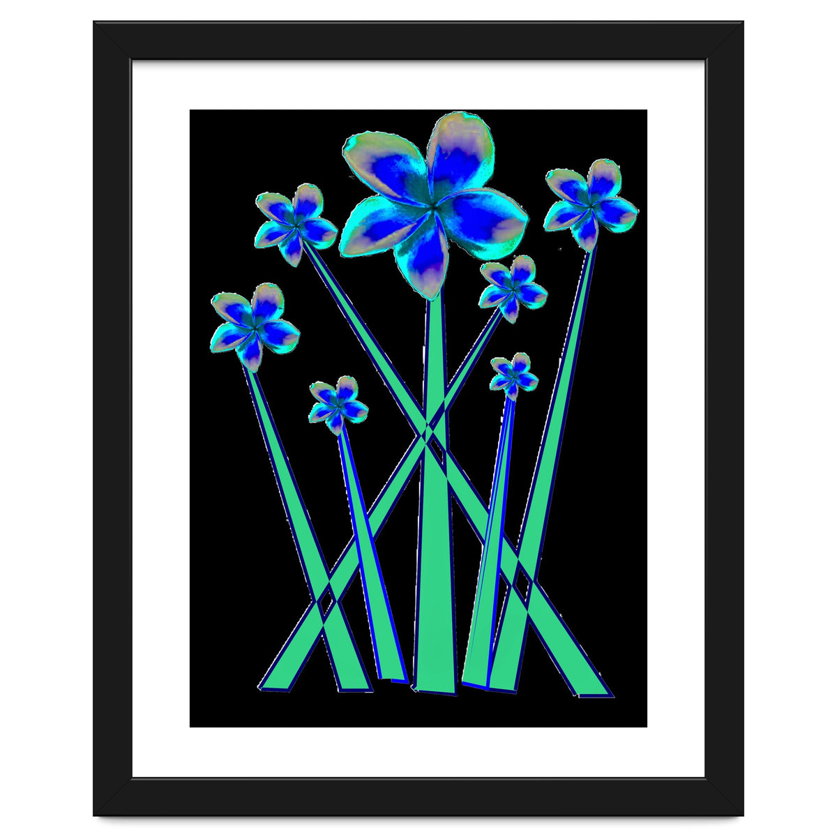 Blue flowers on black.