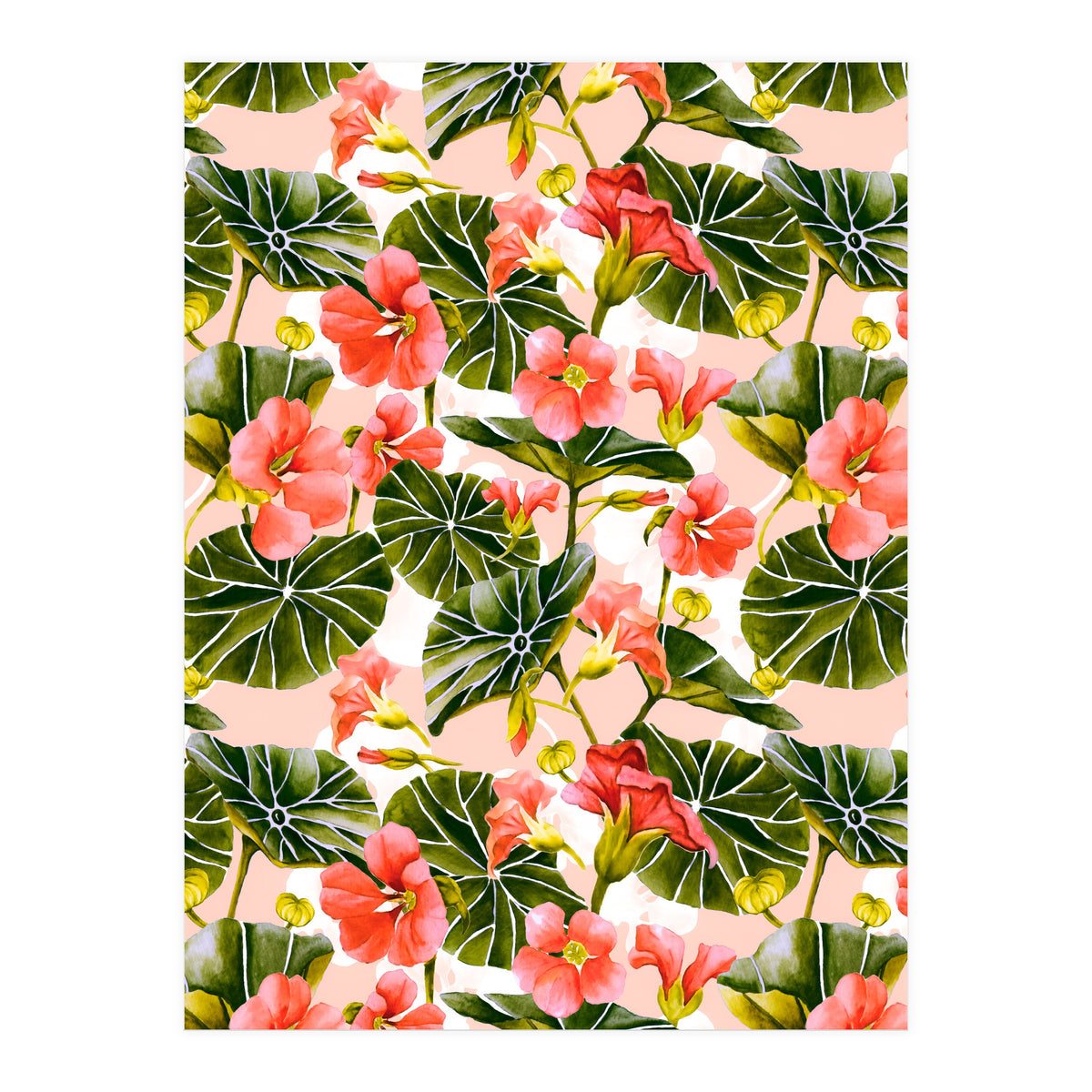 Nasturtiums watercolor 03 (Print Only)