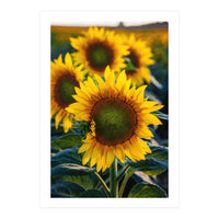 Summerflower (Print Only)