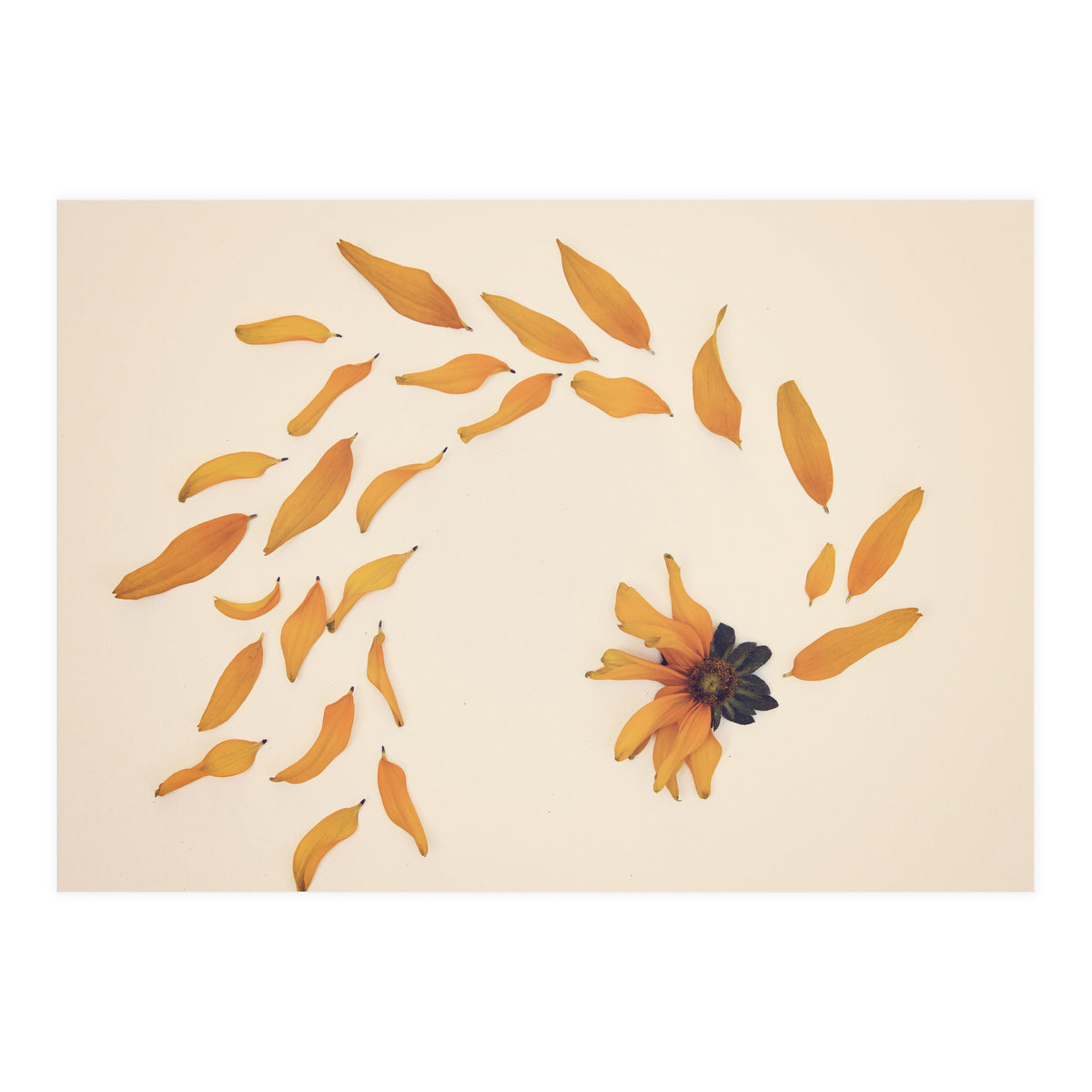 Everything Changed (Print Only)