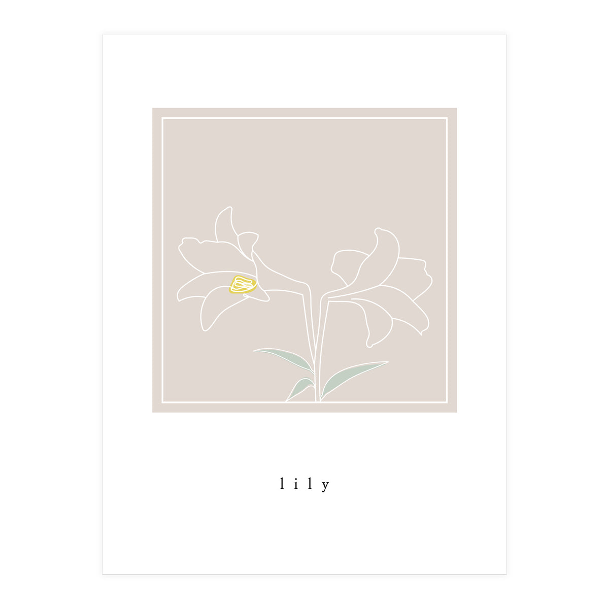 lily flower (Print Only)