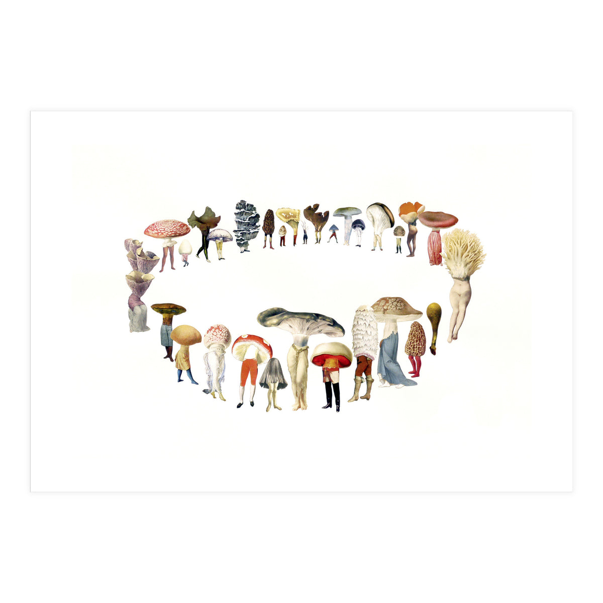 Fairy Ring (Print Only)