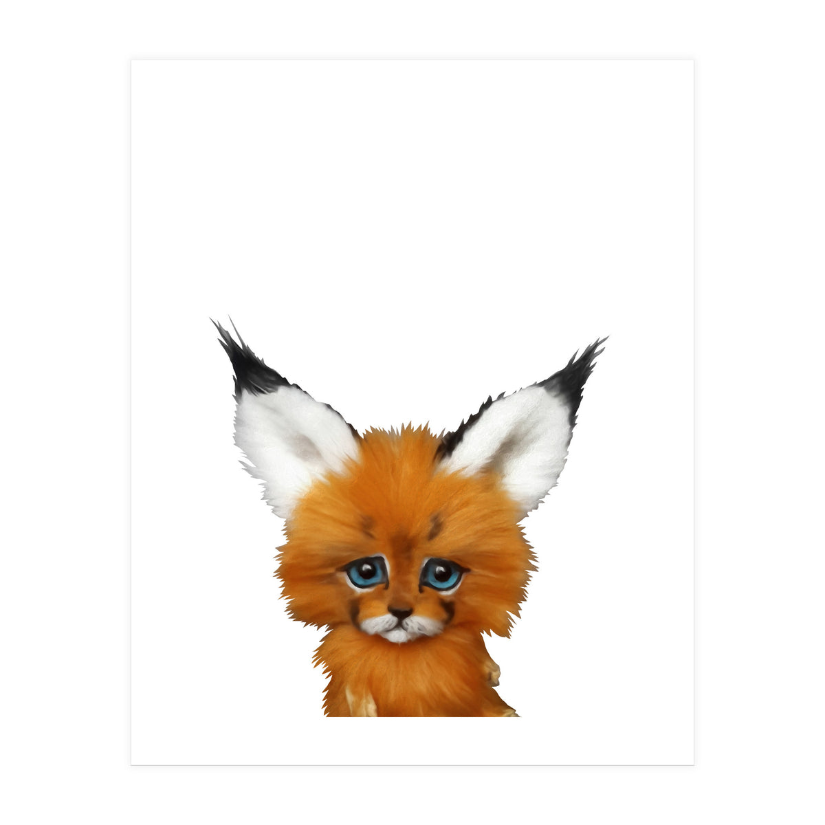 volpe (Print Only)