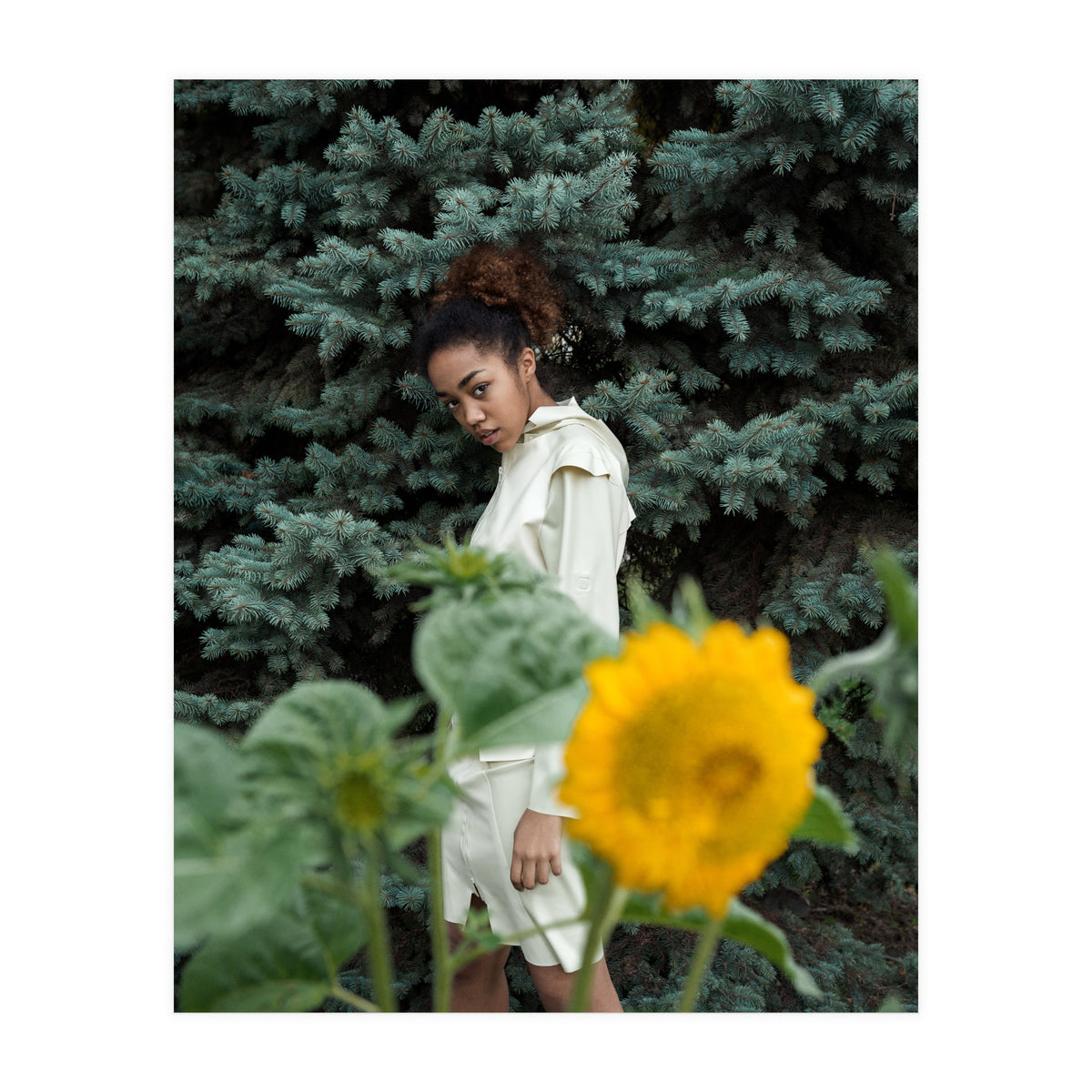 Northern Comfort (Print Only)